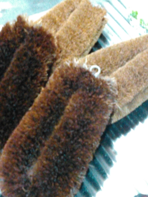 c0162773_13082027.jpg