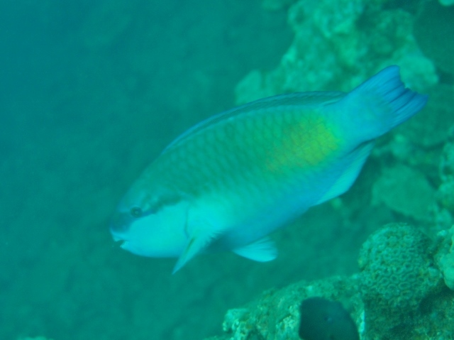 f0200373_23073550.jpg