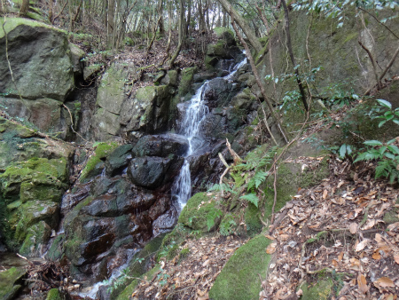 d0182075_17152135.jpg