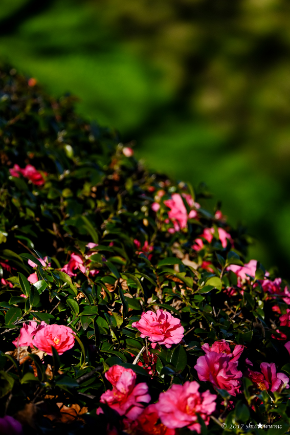 a0142976_22453693.jpg