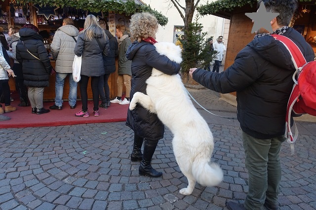 年越し旅行（２）　イタリアのクリスマス・マーケット_c0211876_013178.jpg