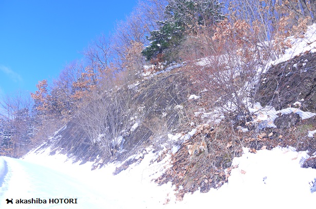 f0150377_1584535.jpg