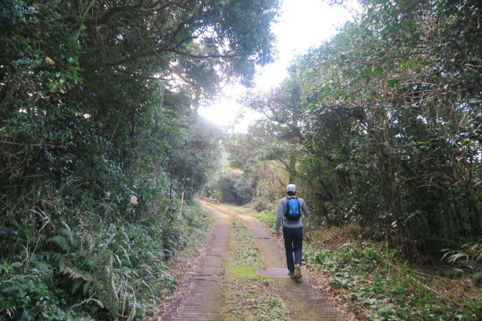 2016.12.29-31 八丈島 Camp & hike day3 三原山編_b0219778_21274747.jpg