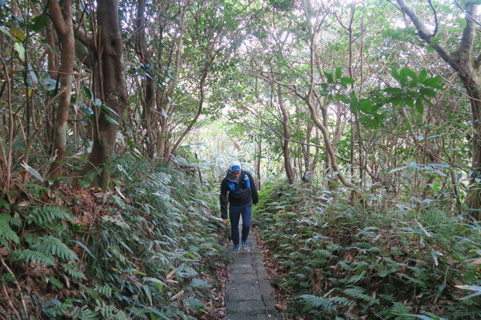 2016.12.29-31 八丈島 Camp & hike day3 三原山編_b0219778_21291716.jpg