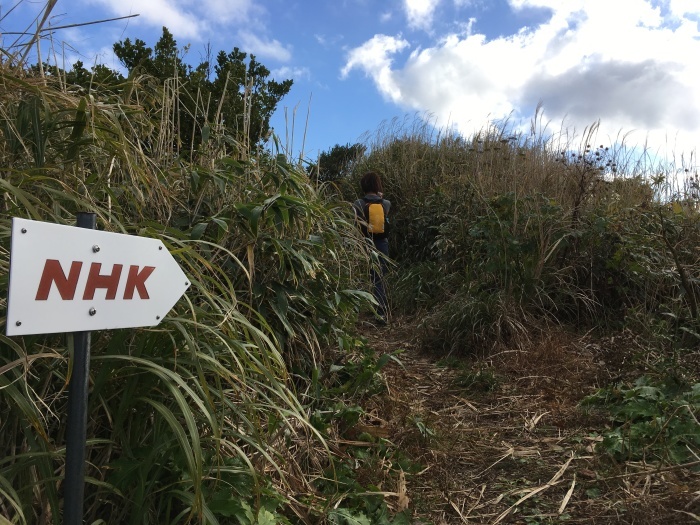 2016.12.29-31 八丈島 Camp & hike day3 三原山編_b0219778_21351172.jpg