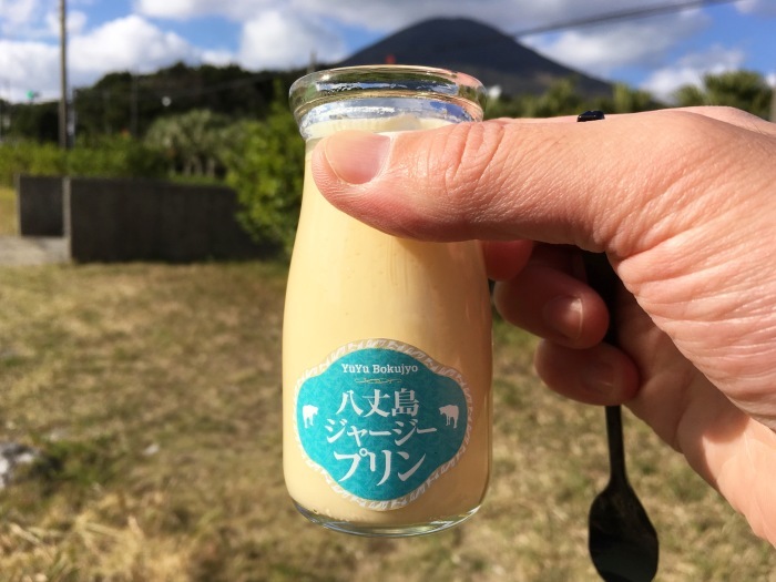 2016.12.29-31 八丈島 Camp & hike day3 三原山編_b0219778_21411523.jpg