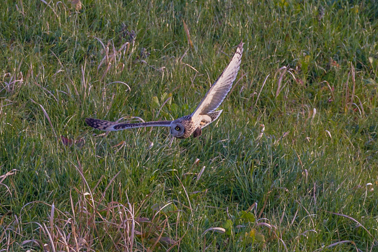 a0052080_12202466.jpg