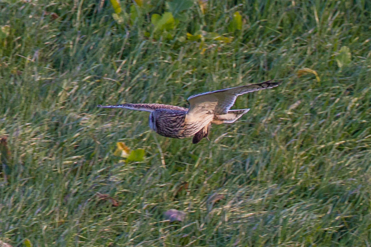 a0052080_12202857.jpg