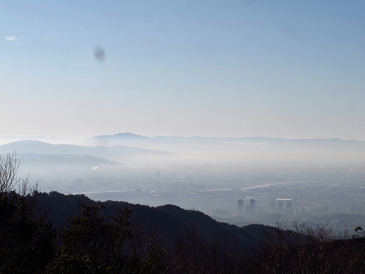 ほぼ気まぐれ「今日のポンポン山」　初春交信_f0073587_1354786.jpg