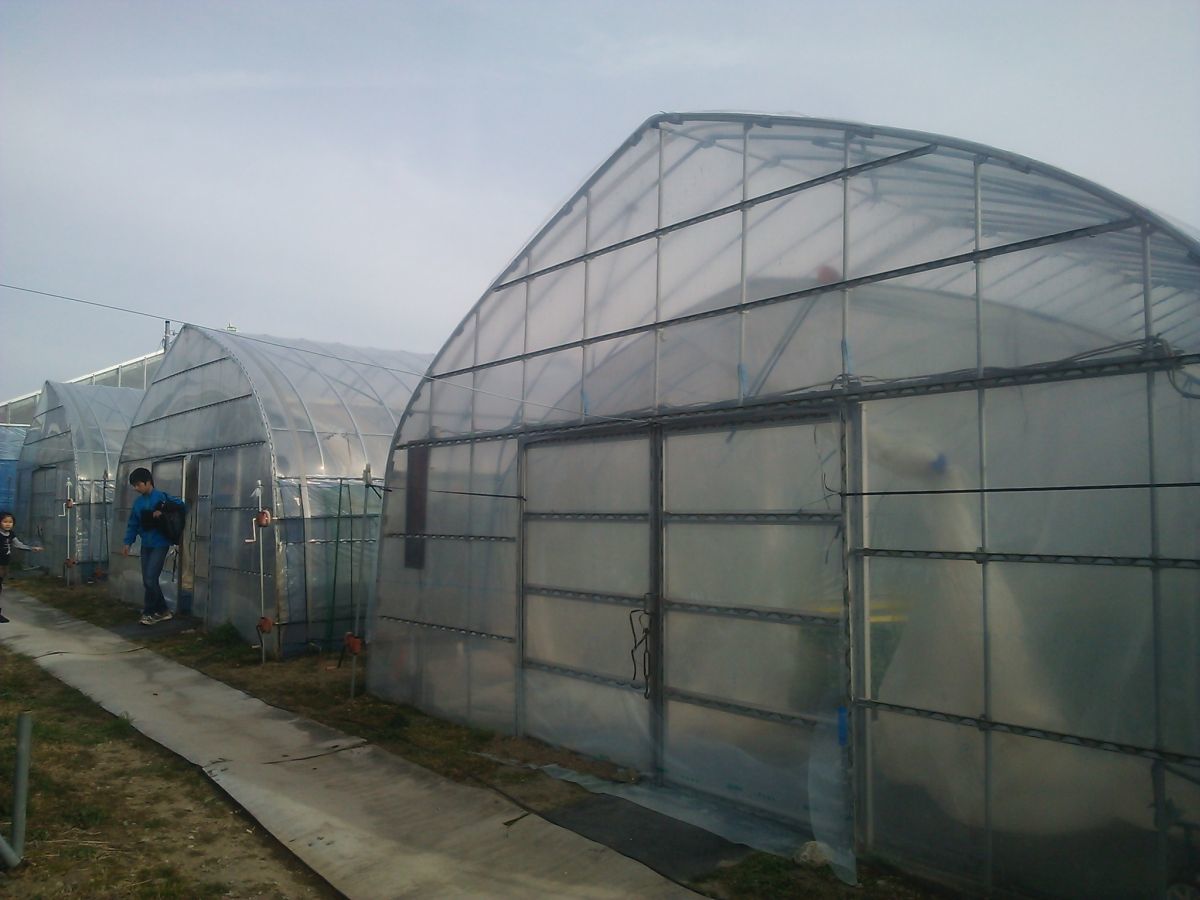 a0011690_20550042.jpg
