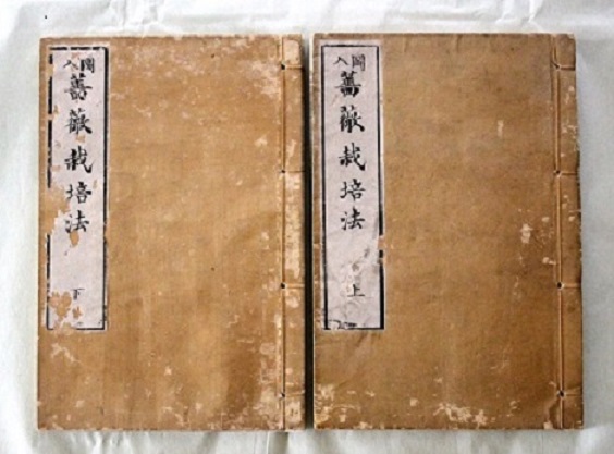 d0099791_5135731.jpg