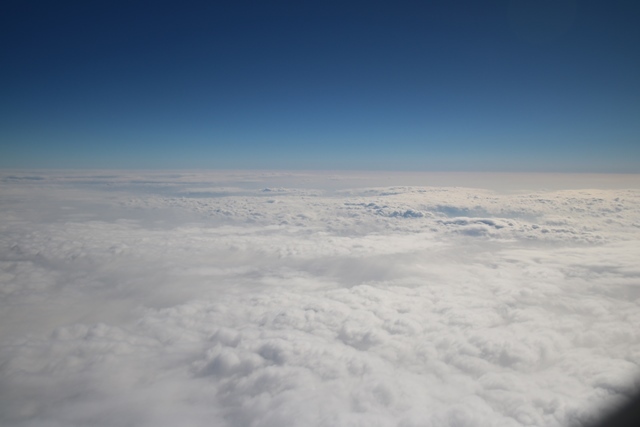 d0181492_16512643.jpg