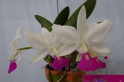 f0203094_9104611.jpg