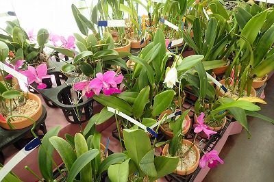 f0203094_9165017.jpg