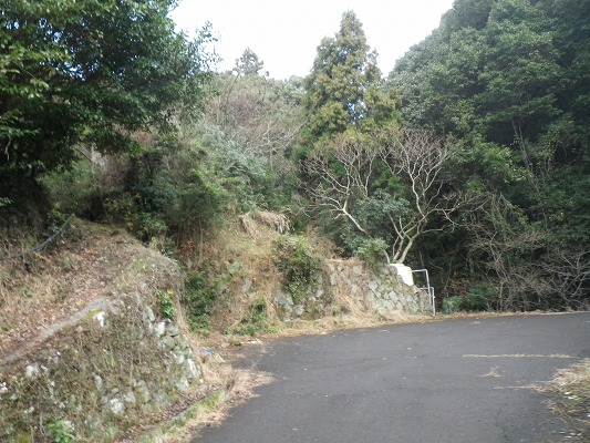 f0187402_20343221.jpg