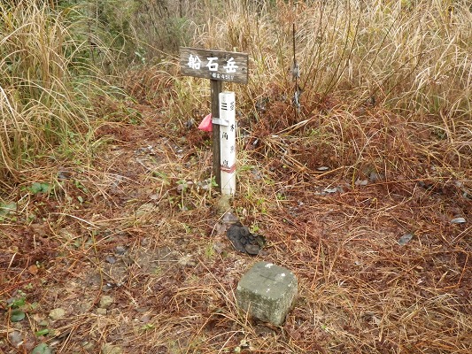 f0187402_20354523.jpg