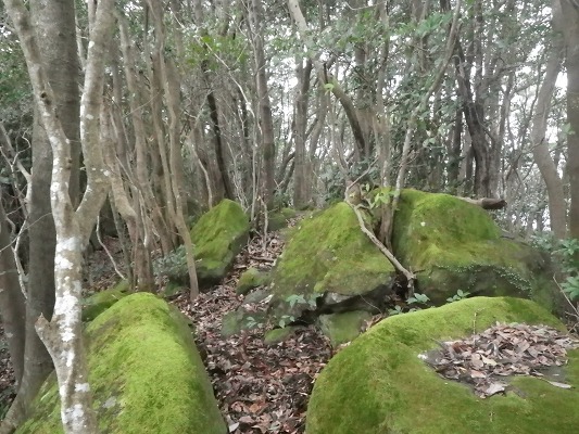 f0187402_20355828.jpg