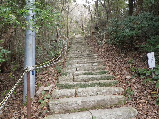 f0187402_2037237.jpg