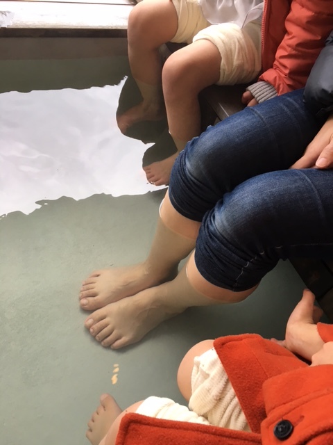 癒しスポット_c0341604_17523472.jpg