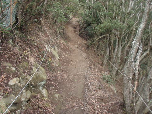 d0342206_17145950.jpg