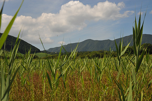 a0278809_15211475.jpg
