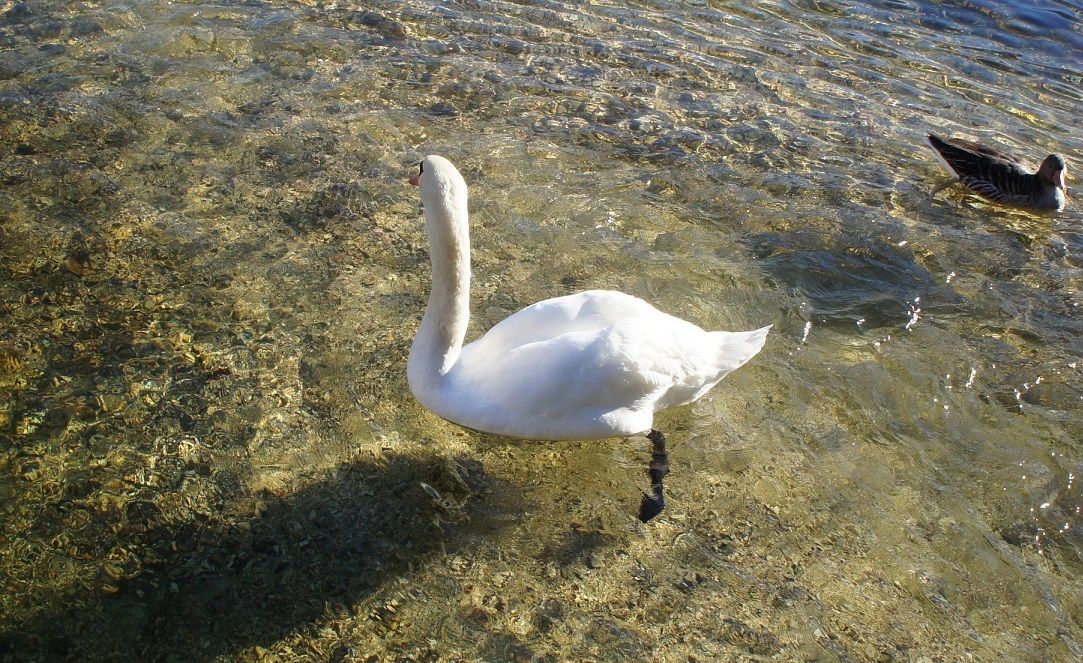 b0112909_1918012.jpg