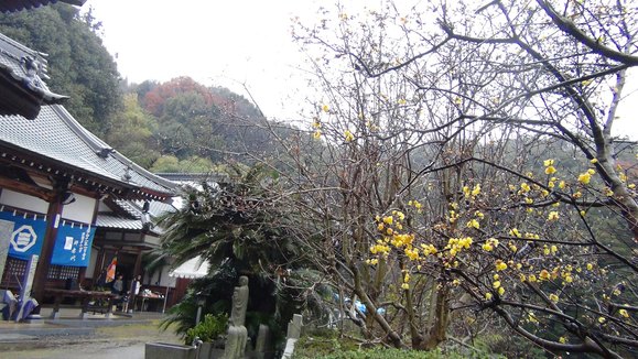 f0231709_741628.jpg
