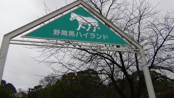 f0231709_865311.jpg