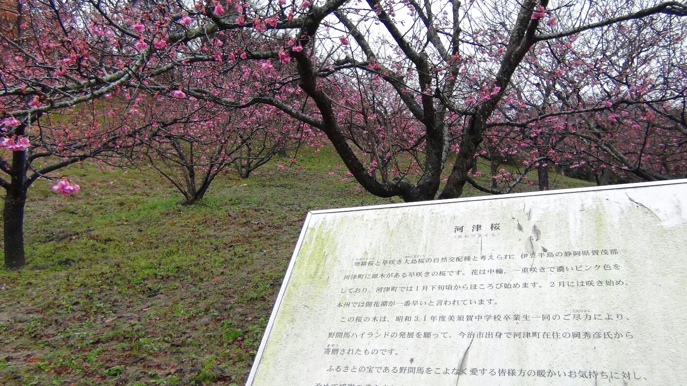 f0231709_883322.jpg