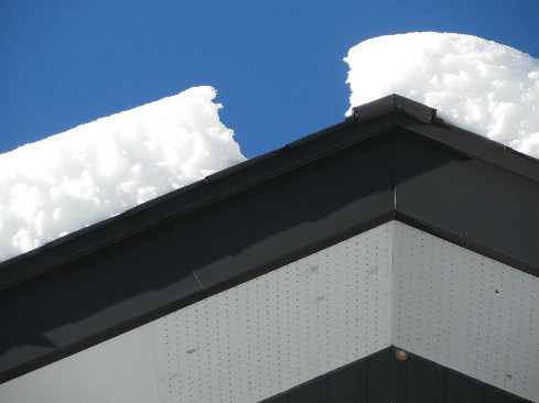 d0160611_11125023.jpg