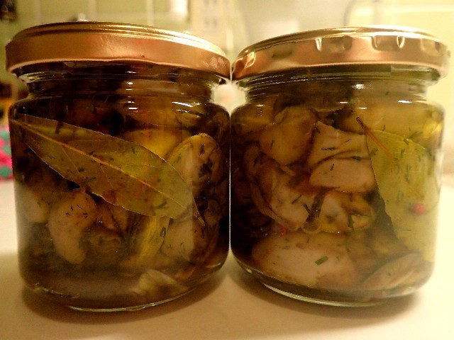 f0043911_15584219.jpg
