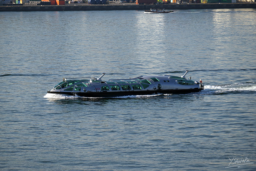 f0344614_21341431.jpg