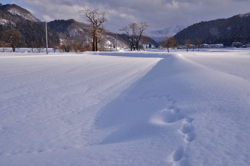 湯沢の雪景色_e0349817_21053246.jpg