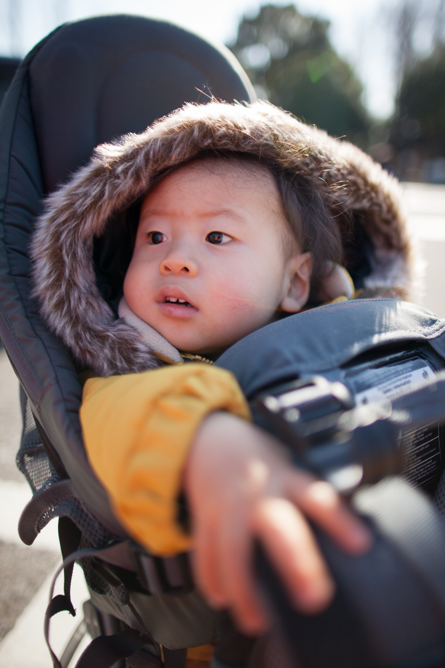 deuter Kid Comfort 3「ドイター キッドコンフォート III deuter Kid Comfort 3「ドイター キッドコンフォート III