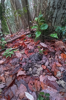 f0233120_21511367.jpg