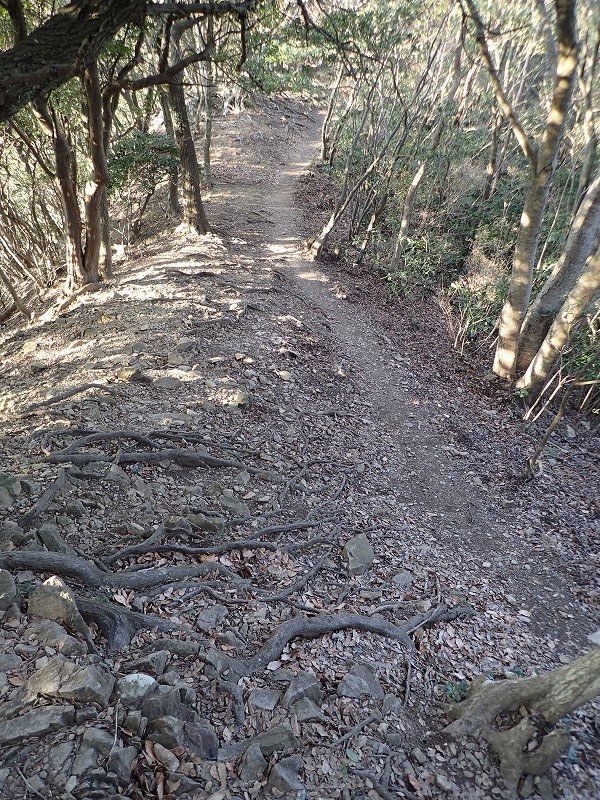 e0284726_06500499.jpg
