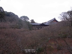 f0361027_08424514.jpg