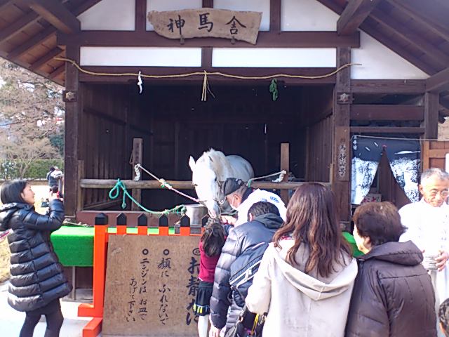 a0116230_1246225.jpg