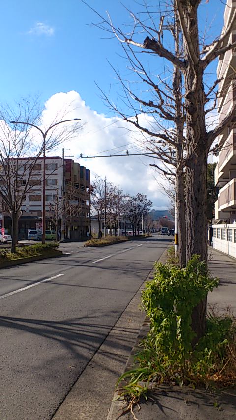a0116230_124624.jpg