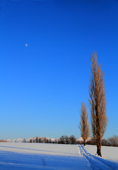 d0069235_20303815.jpg