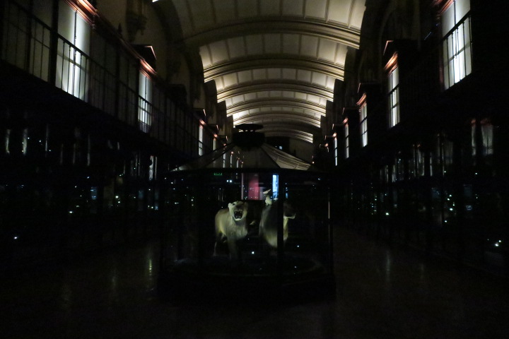 e0300042_6105180.jpg