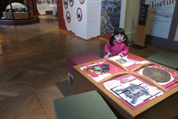 e0300042_610729.jpg