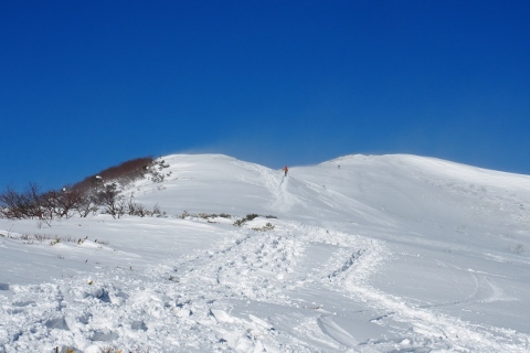 b0189948_0441796.jpg