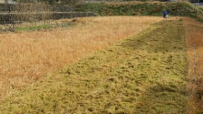 c0330749_13101372.jpg