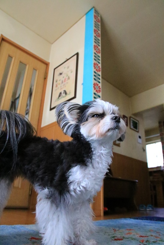 c0145250_09072476.jpg