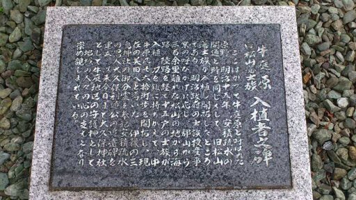 c0017651_43271.jpg