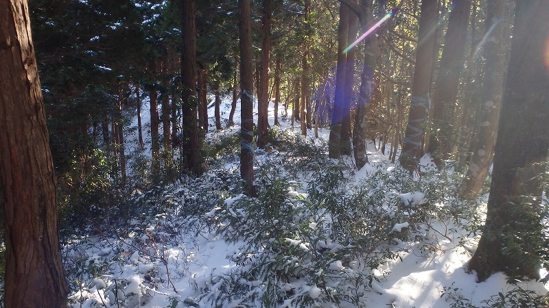 c0097754_21142931.jpg