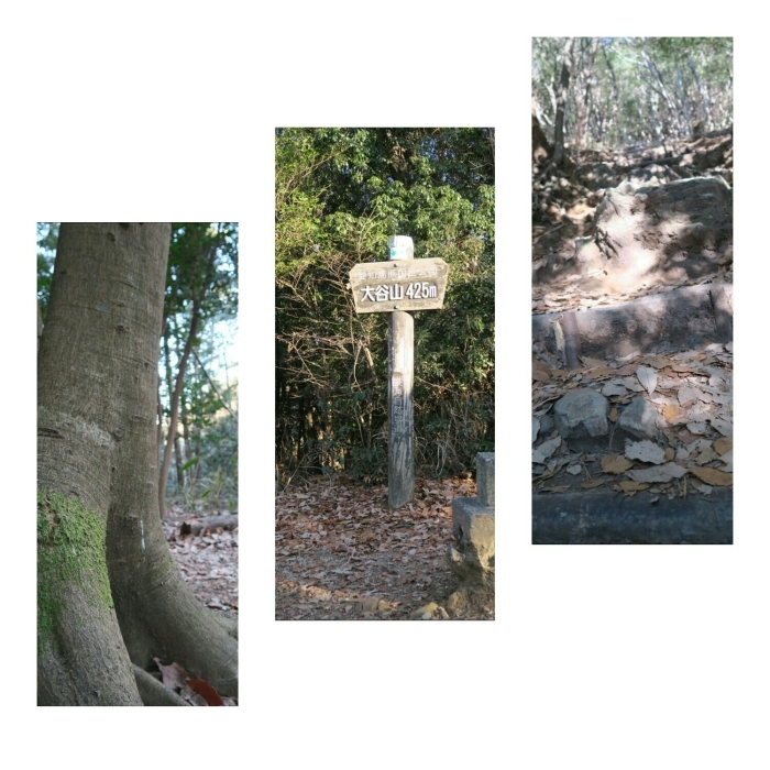 e0348754_12340920.jpg