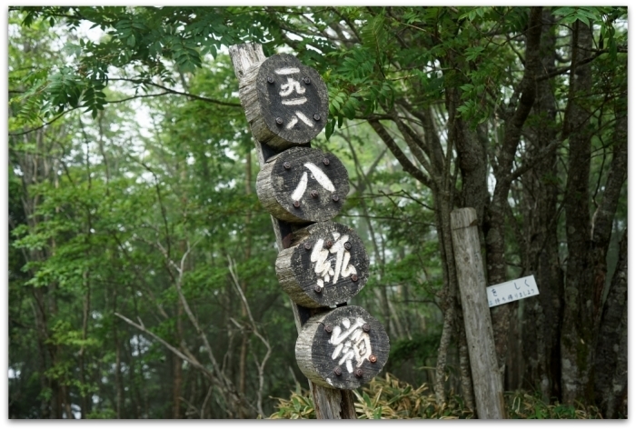 フォッサマグナ西縁に立つ 八紘嶺 16 06 27 月 山 がまんなか フォッサマグナ西縁に立つ 八紘嶺 16 06 27 月 山 がまんなか
