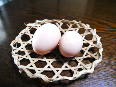烏骨鶏のヒナが誕生しました!めちゃくちゃかわいいです!菊池水源産烏骨鶏のタマゴ数量限定で販売中!_a0254656_1842559.jpg